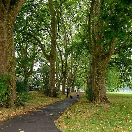 Garden Of Eden 1 Bedroom Flat In Fishponds Apartmán Bristol